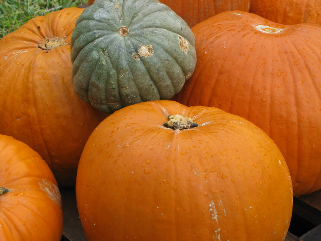 Green Pumpkin