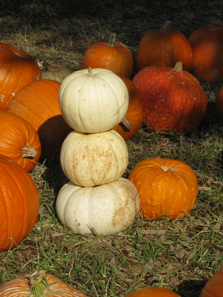 Snowman Pumpkin