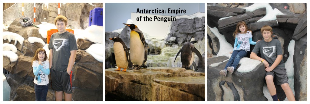 Antarctica Empire of the Penguin