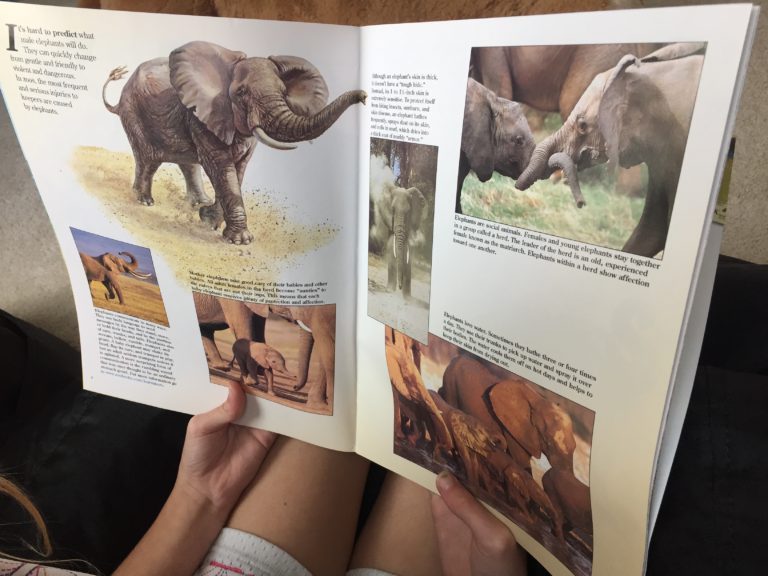 If your Child Loves Animals They Will Love a Subscription to Zoobooks ...